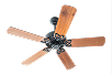 Ceiling Fans